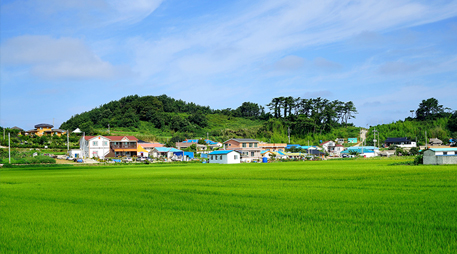 Daecheon island [photo]