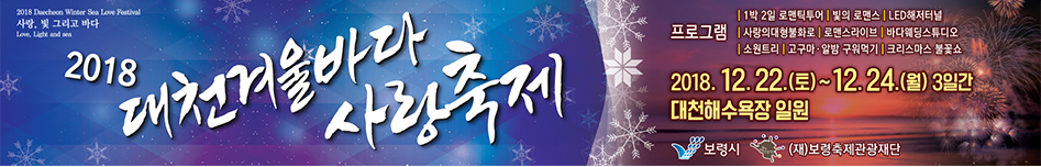 2018 대천겨울바다사랑축제