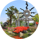 test img