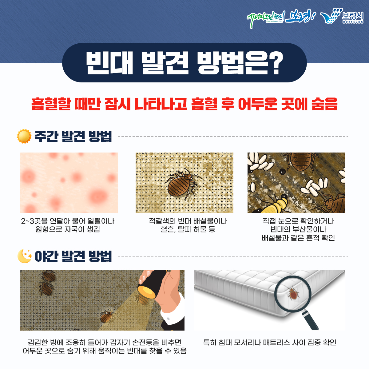 빈대 발견 방법은? 흡혈할 때만 잠시 나타나고 흡혈 후 어두운 곳에 숨음 주간발견 방법 2~3곳을 연달아 물어 일렬이나 원형으로 자국이 생김, 적갈색의 빈대 배설물이나 혈흔, 탈피 허물 등 직접 눈으로 확인하거나 빈대의 부산물이나 배설물과 같은 흔적 확인, 야간 발견 방법 캄캄한 방에 조용히 들어가 갑자기 손전등을 비추면 어두운 곳으로 숨기 위해 움직이는 빈대를 찾을 수 있음 특히 침대 모서리나 매트리스 사이 집중 확인