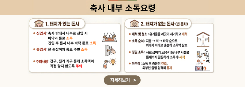 축사 내부 소독 요령 1.돼지가 있는 돈사 -진입시:축사 밖에서 내부로 진입 시 바닥과 통로 소독 진입후 돈사 내부 바닥 통로 소독 -출입시:문 손잡이와 통로 주변 소독 -주의사항:전구, 잔기 기구 등에 소독액이 직접 닿지 않도록 주의 2. 돼지가 없는 돈사(빈 돈사) -세척 및 청소:유기물을 꺠끗이 제거하고 세척 -소독 순서: 지붕>벽>바닥 순으로 위에서 아래로 충분히 소독액 살포 -정밀 소독:사료 급이기, 급수기 등 내부 시설물 틈새까지 꼼꼼하게 소독 후 세척 -마무리:소독 후 충분히 건조, 외부인 출입 엄격히 통제 (자세히 보기>)
