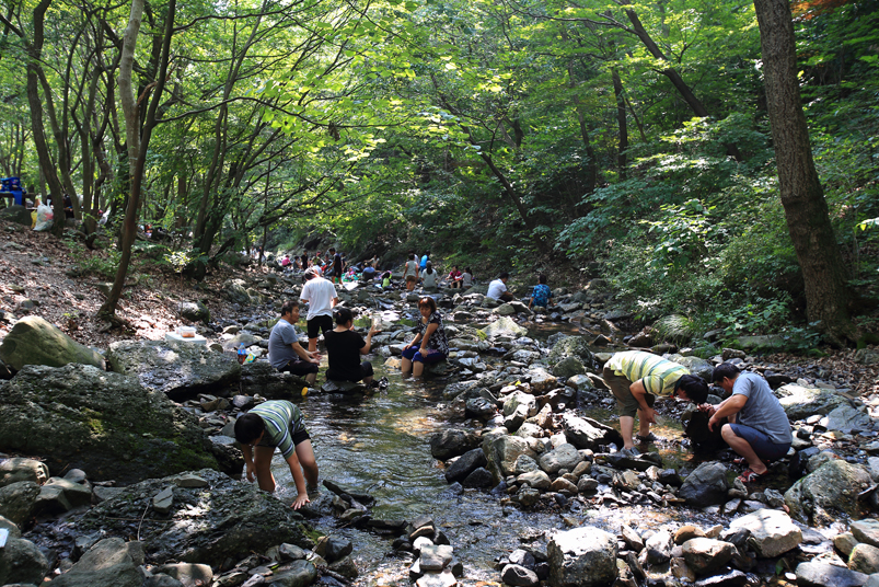 성주산휴양림 관련 이미지19