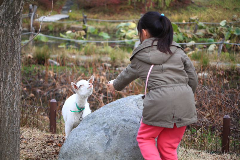 성주산휴양림 관련 이미지39