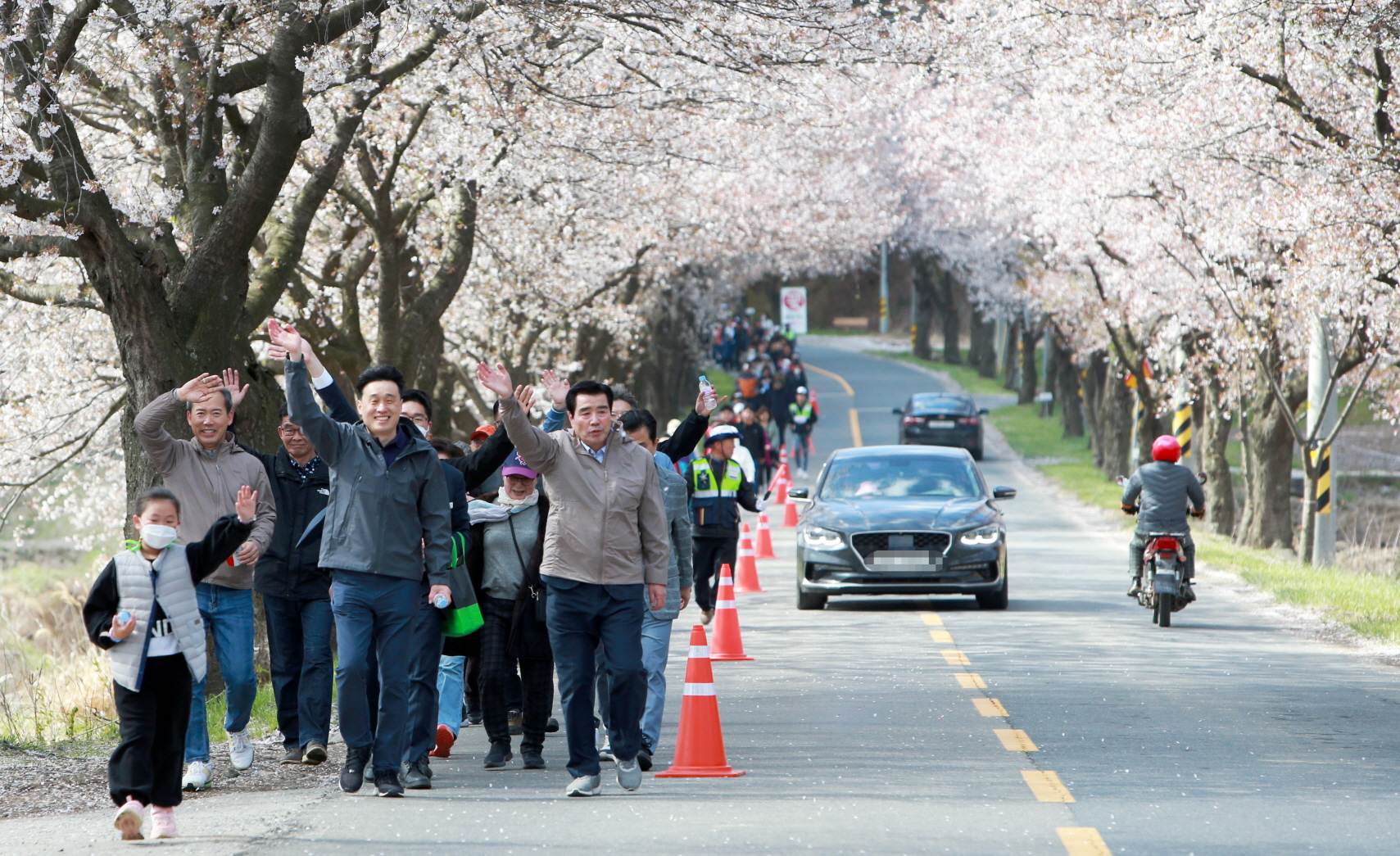 제17회 주산벚꽃축제