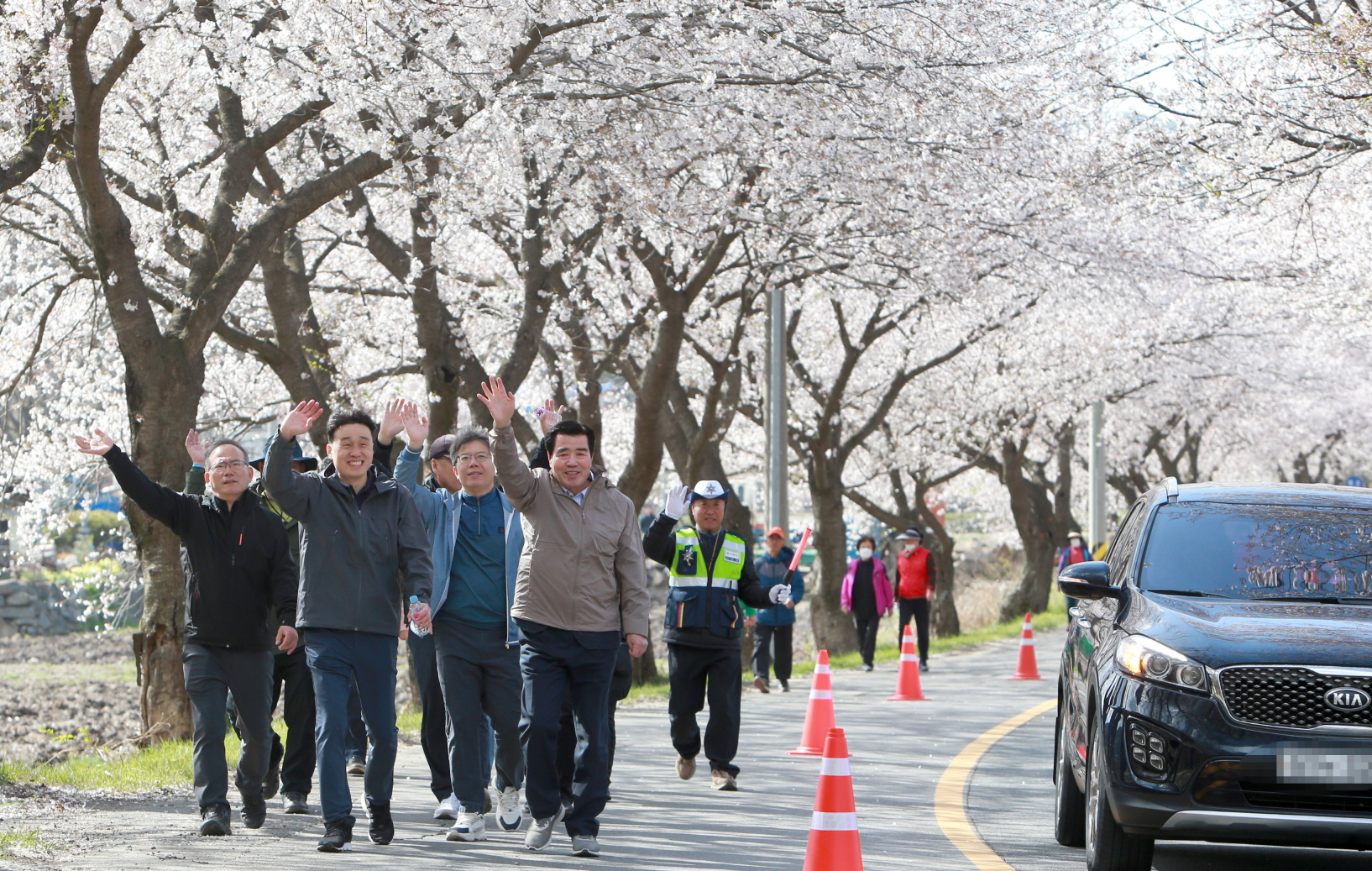 제17회 주산벚꽃축제